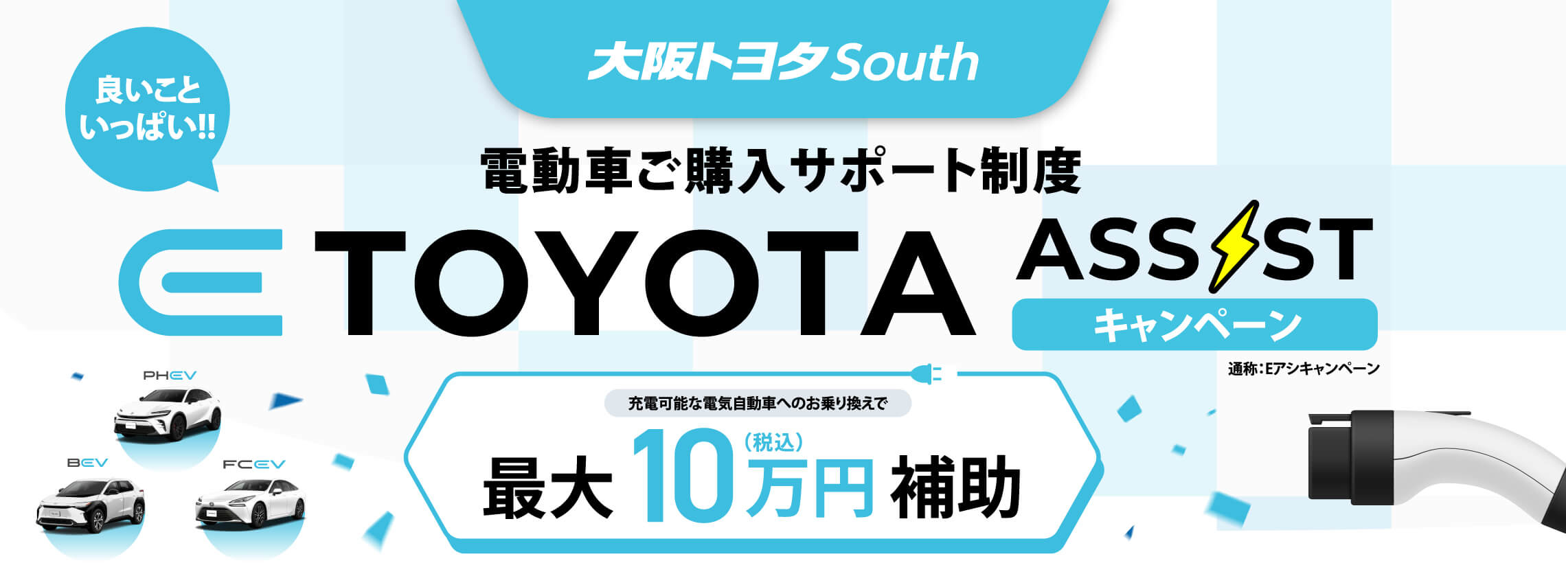 ETOYOTA アシストキャンペーン